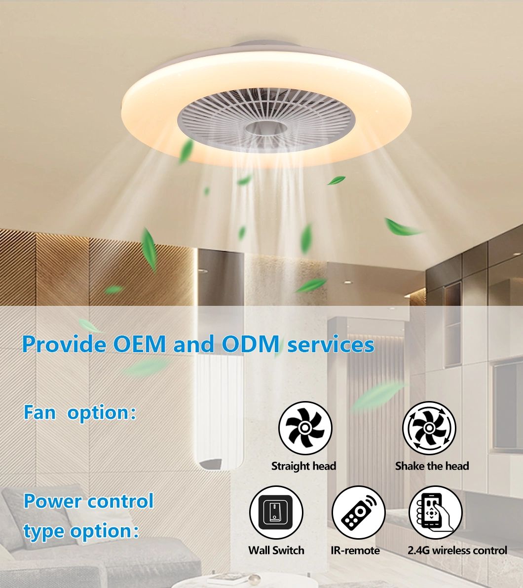 Bluetooth APP Control 6-Speed Control Modern Ceiling Fan with Dimmable Light