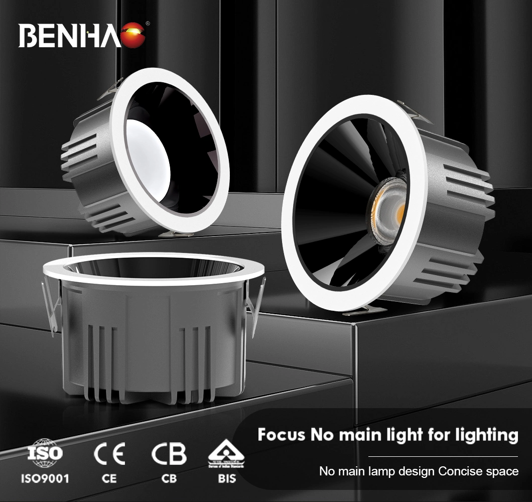CE RoHS Certification Basic Customization LED Interior Ceiling Lighting Spotlight/Down Light