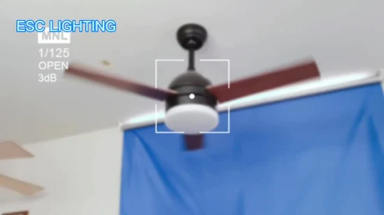 ceiling Fan Sale Modern Plywood Remote Control Ceiling Fan with Light