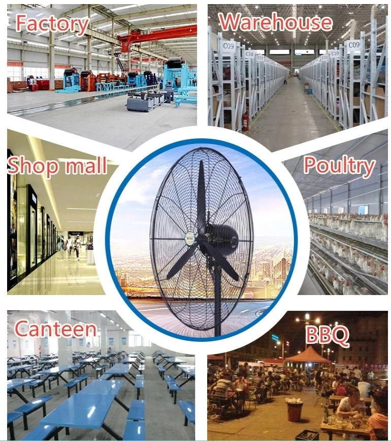 Industrial Electric Exhaust Wall Mounted Fan Air Cooling Ceiling Fan