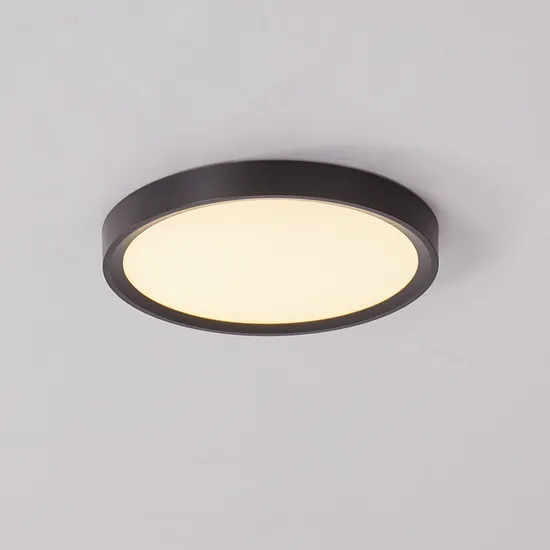 Modern LED Ceiling Lighting Surface Mounted LED Lamp Suspension Ceiling Light
